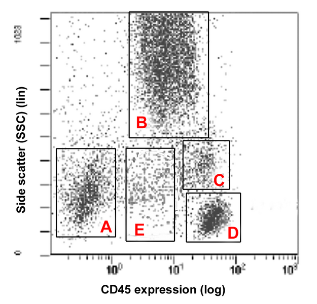 File:CD45 populations.png