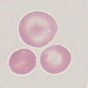 2: Target cells (context)